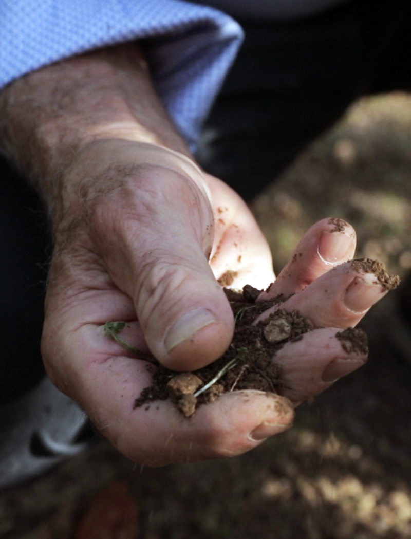 Gallura, la nostra origine minerale