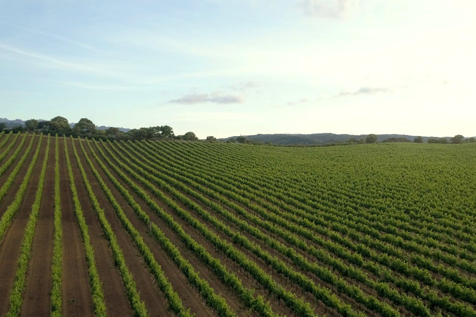 Clima, luce e brezza marina