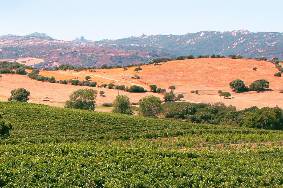 Rocce, macchia mediterranea e biodiversità