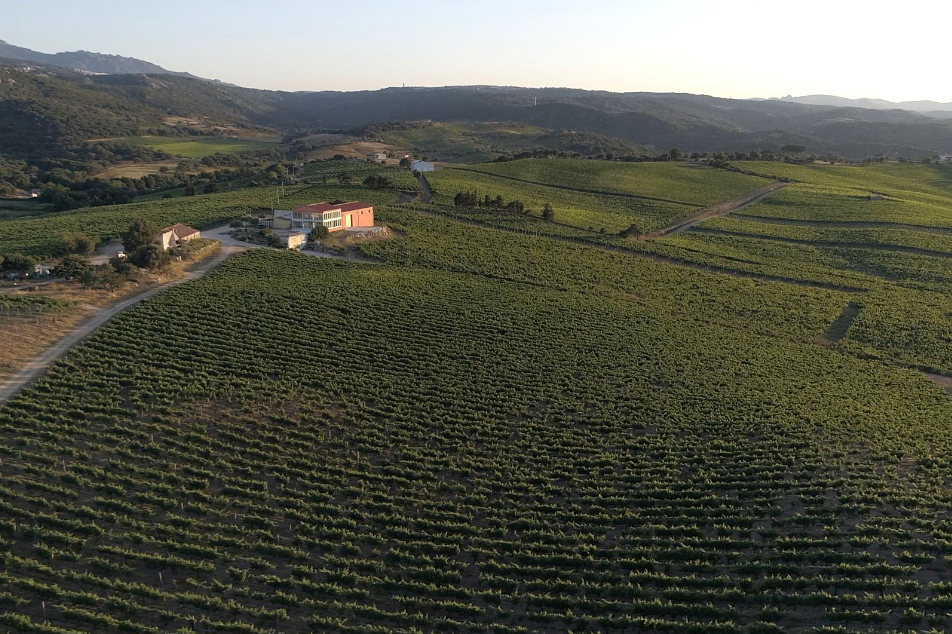 Visita, passeggia, degusta